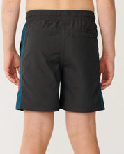 Load image into Gallery viewer, SURF SHACK PANEL VOLLEY - BOY
