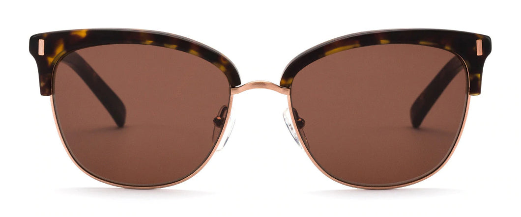 OTIS LITTLE LIES - MATTE DARK TORT/BROWN