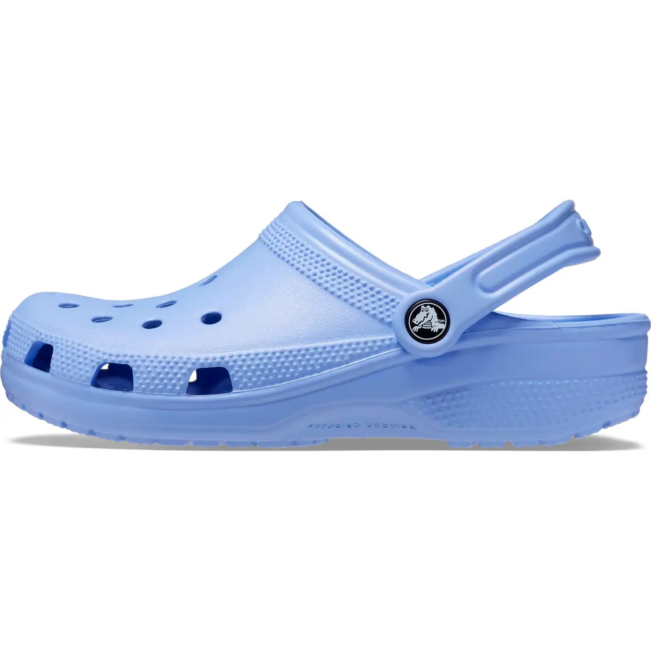 Jelly clogs cheap